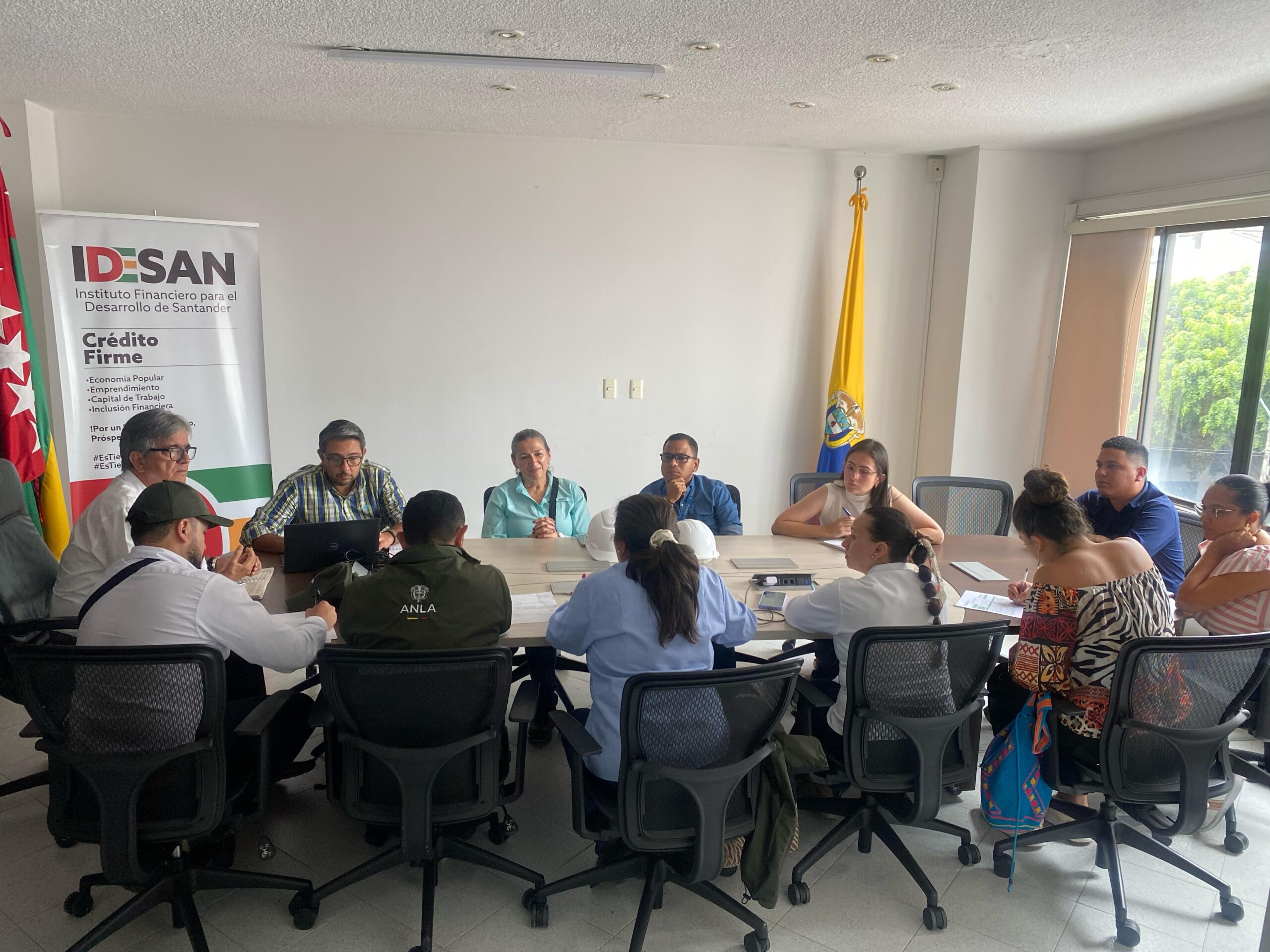 Reunión ANLA
